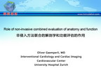 [EuroPCR 2012]非侵入方法联合的解剖学和功能评估的作用